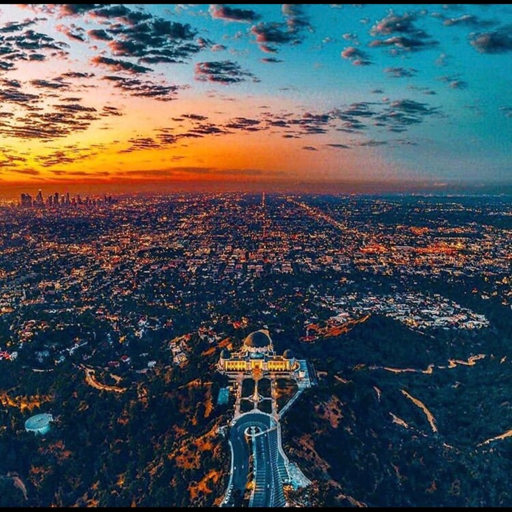 Meet your Posher, Maurice